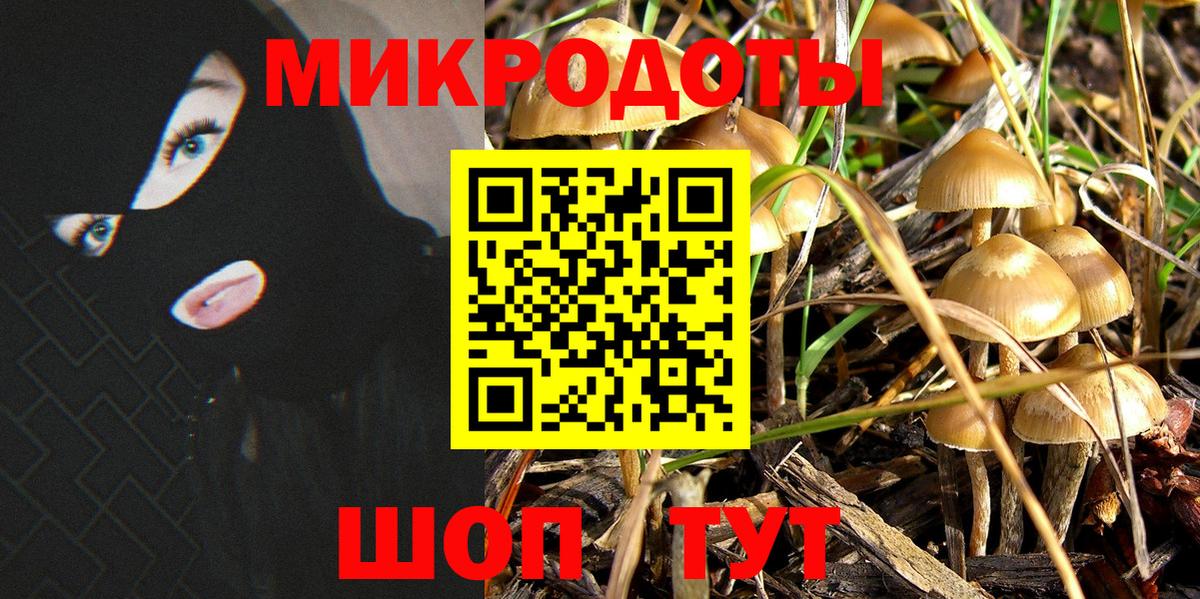 Галлюциногенные грибы прущие грибы Шарыпово