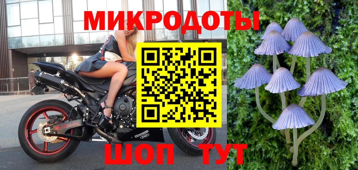 Псилоцибиновые грибы прущие грибы  цены   Галлюциногенные грибы MAGIC MUSHROOMS  Шарыпово  Вход с VPN 